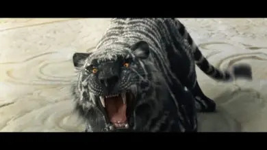 Showreel VFX Dexter Studios