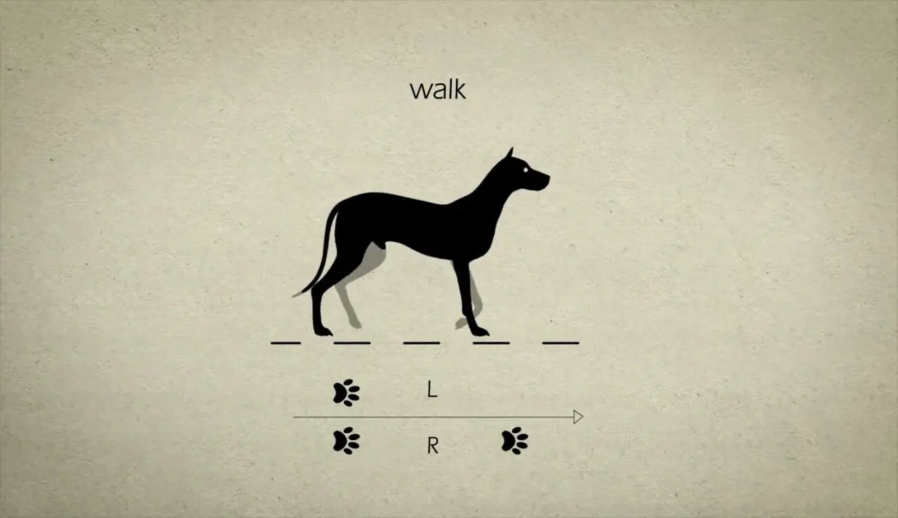 Tutorial de Animación de Caminatas 2D