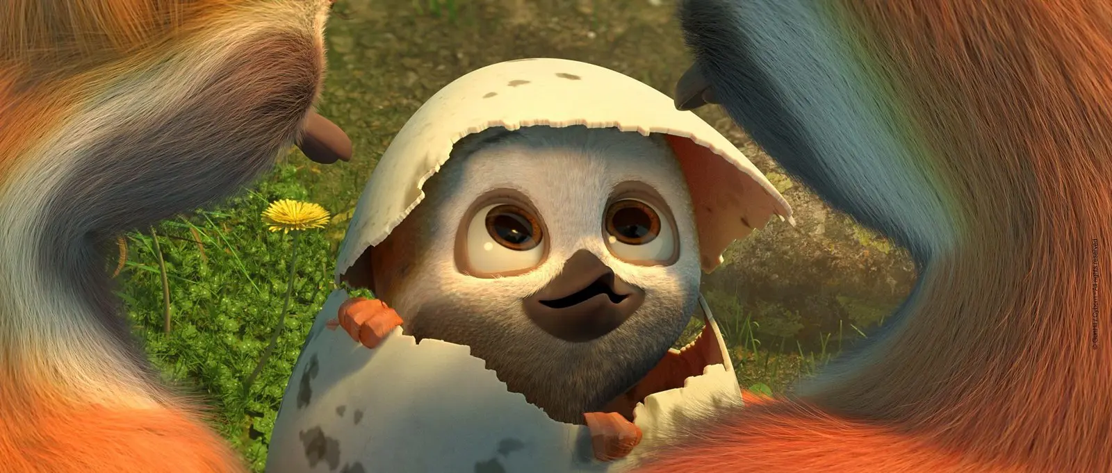 Flying The Nest-Estreno de Animación 3d-película-animación 3d-trailer