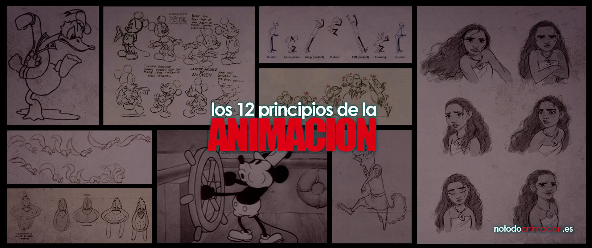 los 12 principios de la animacion