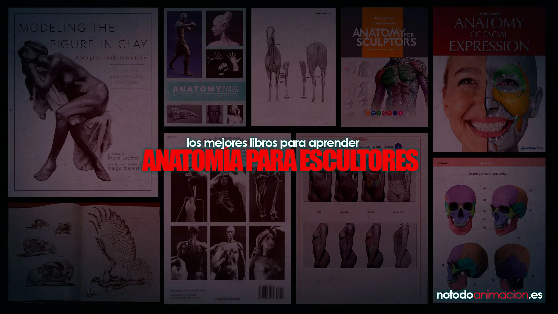 Anatomía para Escultores