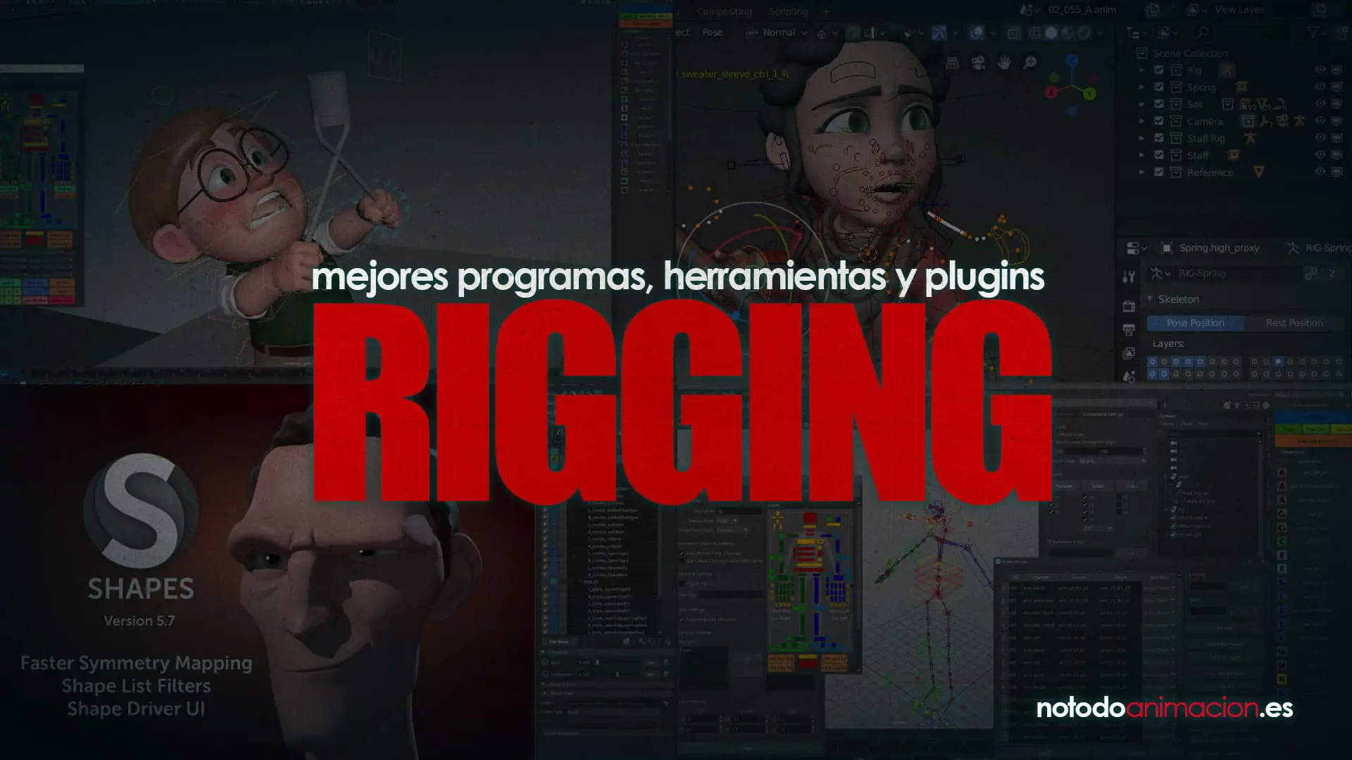programas de rigging