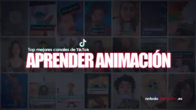 aprender animacion canales de tiktok