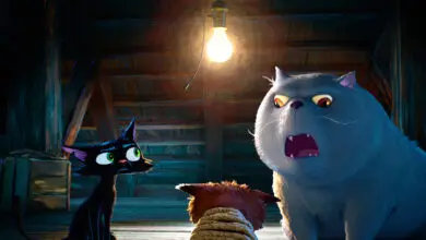 gatto pixar 2027