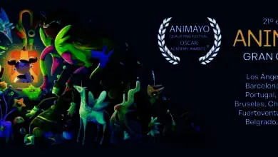 festival / evento animacion animayo