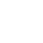 MR. X