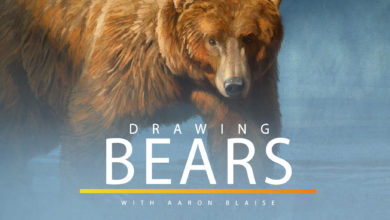 Tutorial como dibujar osos - Aaron Blaise