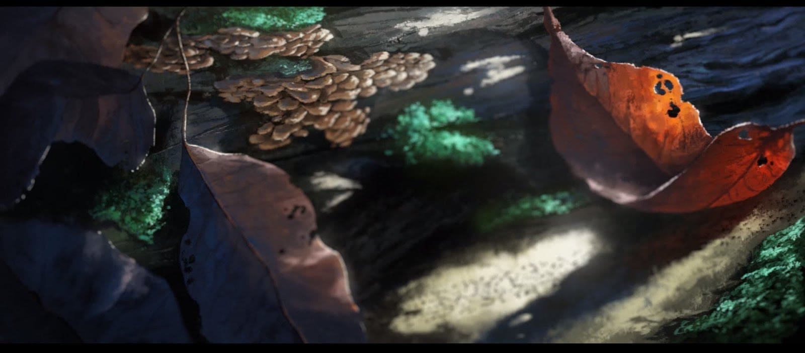 Fox And The Whale -Cortometraje de animación-2d-3d-03