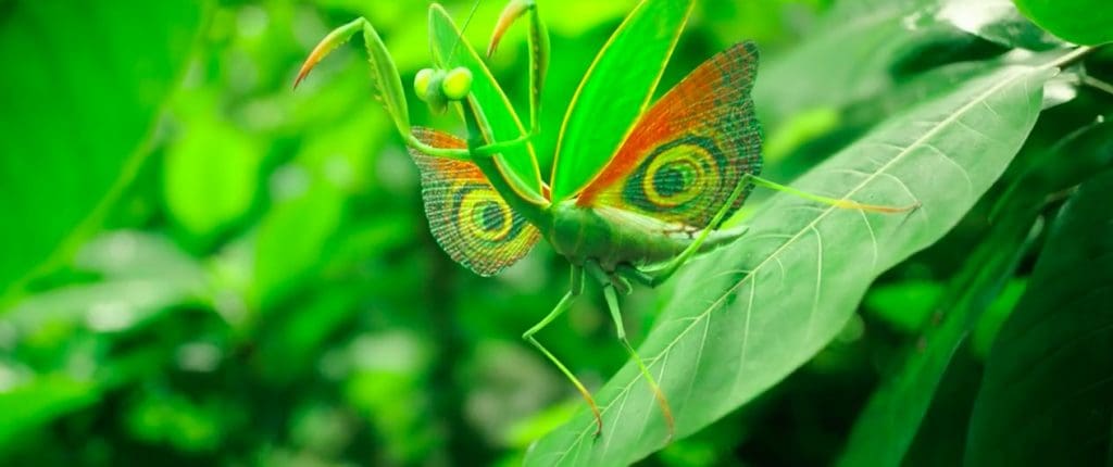 Trailer-película-de-animación-estreno-Miniscule-Mandibles-From-Far-Away