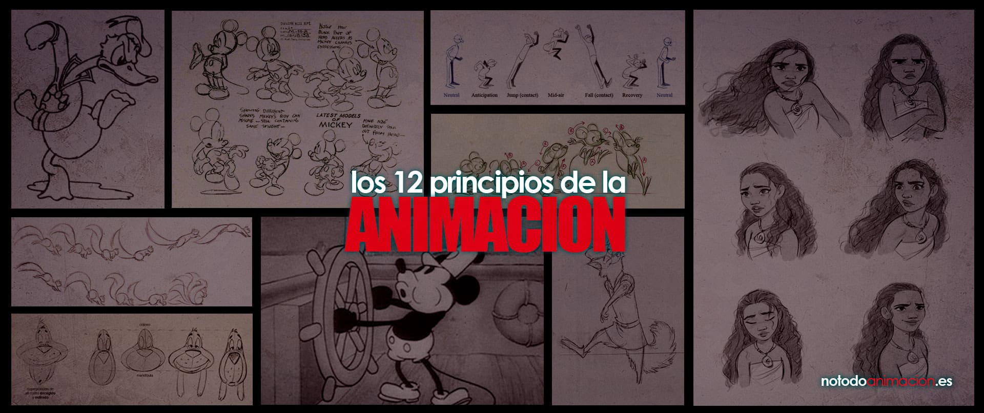 los 12 principios de la animacion