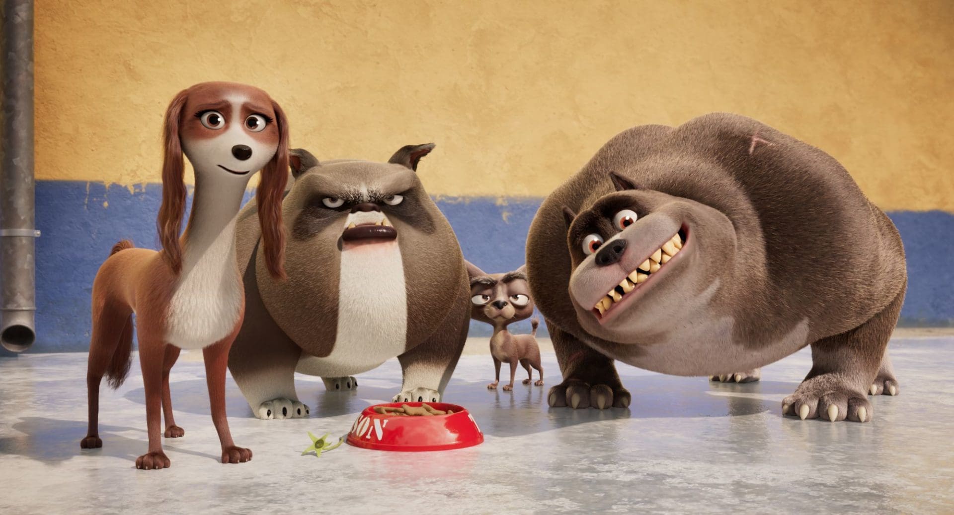 Corgi, Las Mascotas de la Reina