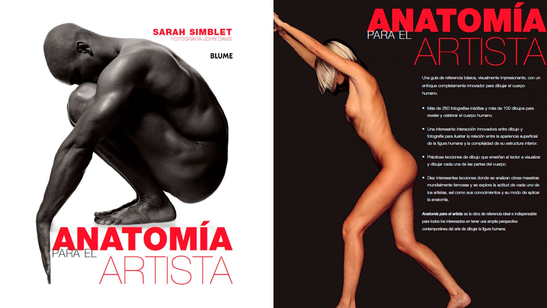 anatomía para el artista