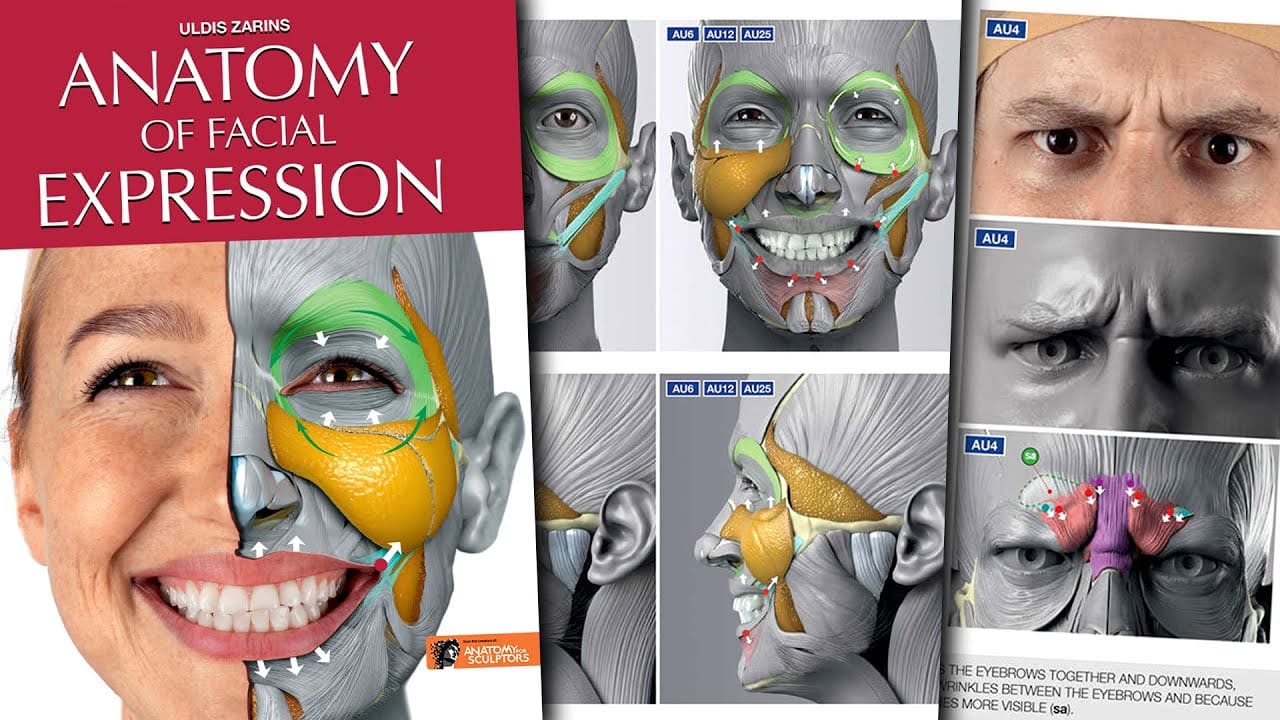 Anatomy of Facial Expression