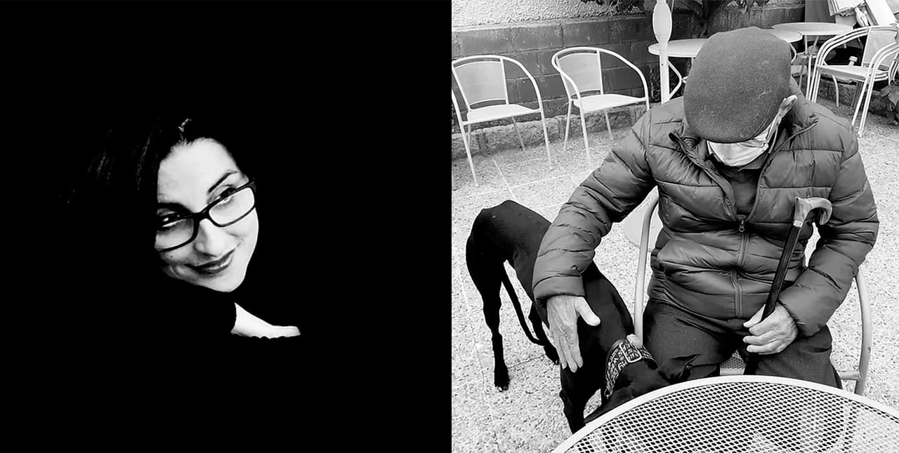 cortos de animación premiados