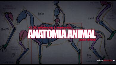 Anatomía animal para dibujo ilustración y animación - Inspiración y Referencias