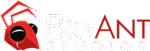 Big Ant Studios